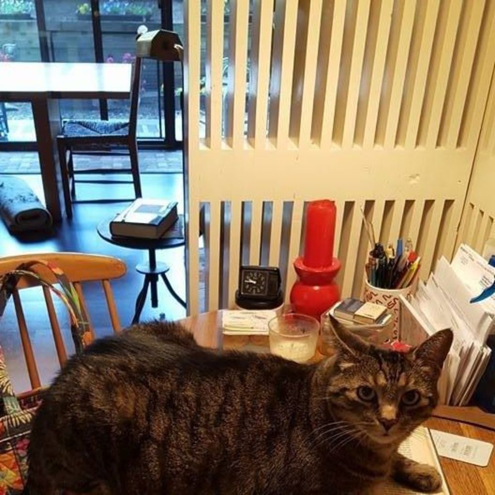 Meet your Posher, Pamela